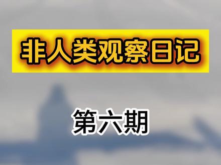 世界之大无奇不有!非人类观察日记第六期 #蠢人#人类迷惑行为#非人类行为#搞笑#蠢蛋进化论