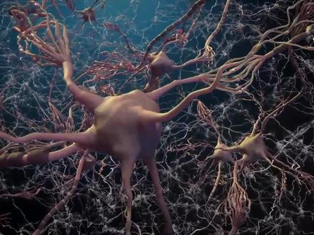 第3/3集:朊病毒背后的可怕真相 #朊病毒 #同类相食 #食人族 #疯牛病 #科普一下