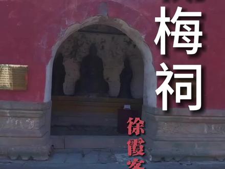 徐霞客三求武当樃梅仙果为母祝寿#仙仙的武当 #来武当过几天仙暇日子 #道家文化 #道系青年 #道观日常