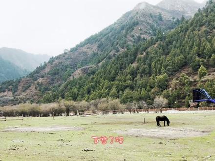 【今年五一甘南实况】洛克之路由北向南,扎古录到扎尕那实拍。(山顶最难路况看我上一个视频)(江迭公路)(洛克之路五一下雪了)(时间坐标2026.4.28)#五一甘南游 #洛克之路 #江迭公路 #洛克之路最新路况 #五一旅行指南