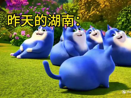 湖南的妖风....#月半猫#湖南天气 #长沙天气