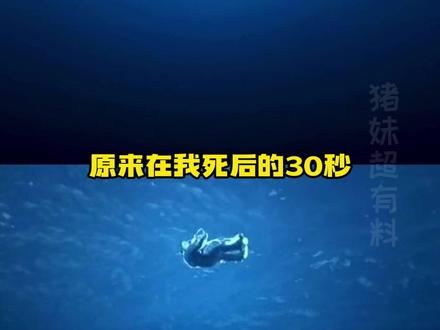 人生就是要珍惜当下啊!#人生 #生命 #走马灯 #万万没想到