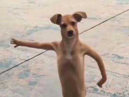 今天教大家做一个抽象的小狗圣体转场#剪映 #你是什么先天圣体 #先天小狗圣体转场小狗 #先天小狗圣体特效变狗 #先天圣体特效入口 小狗视频剪辑教程 先天小狗圣体转场小狗剪辑模板 先天小狗圣体转场小狗模板 先天小狗圣体转场小狗剪同款 小狗打拳原视频 先天小狗圣体转场小狗特效 先天小狗圣体转场小狗原视频 先天小狗圣体转场小狗怎么拍 先天小狗圣体转场变狗 先天小狗圣体转场小狗 你是什么先天圣体 先天圣体特效入口你是什么先天圣体转场怎么做 你是什么先天圣体特效小雨 先天小狗圣体特效怎么刷出来 常小雨小狗圣体特效 先天圣体转场特效怎么拍 你是什么先天圣体小狗特效 你是什么先天圣体怎么抽到小狗 你是什么先天圣体转场怎么做 你是什么先天圣体