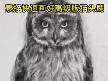 素描学画画高级版猫头鹰.#画画教程 #零基础学画画教程 #零基础学画画 #画画使我快乐 #跟我一起学画画 #零基础学画画教