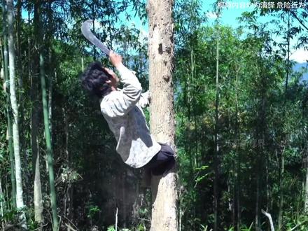 这个男人用单腿,在高达10几米的空中,搭建出有猪圈鸡舍的树屋 #荒野建造 #庇护所建造 #野外生存 #励志