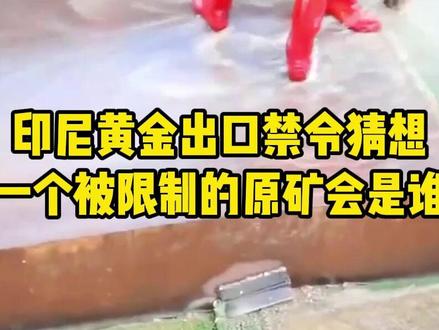 印尼黄金出口禁令猜想:下一个被限制的原矿会是谁? #印度尼西亚 #黄金 #金矿