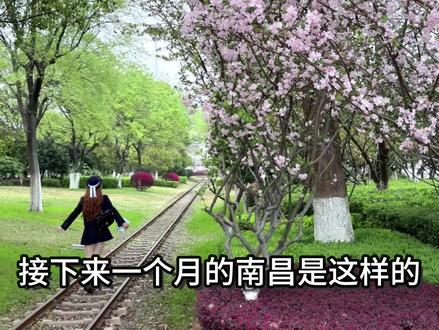 接下来的南昌是万万次的春和景明💐#南昌春天#南昌拍照 #春天#南昌旅游#春天里的浪漫鲜花占一半