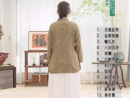 张逢二十四式混元带练全套