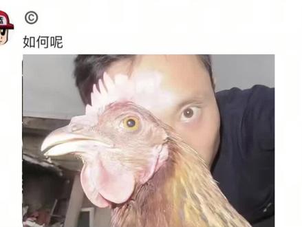 评论区摄影作品毒辣点评,千万别看评论区,我怕你笑晕! 请在评论区留下你的大作!#摄影 #猎奇 #蓝日西 #摄影作品分析点评 #评论区摄影大赛