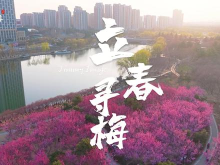 有泰安人吗?家乡凤凰湖的花开啦~ 不必远行,泰安就有最美的春天,凤凰湖梅花已开,治愈所有等待
#立春 #泰安凤凰湖 #梅花 #春天赏花 #泰安身边事