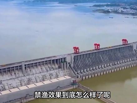 长江为何却禁捕不禁钓?难道是给钓鱼佬“开后门”?#大国重器#大国崛起#科普#科普一下#钓鱼