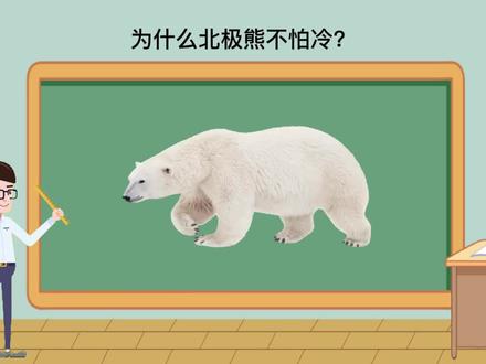 #科普一下 为什么北极熊不怕冷?