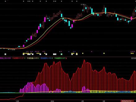 3.31西部材料 #西部材料