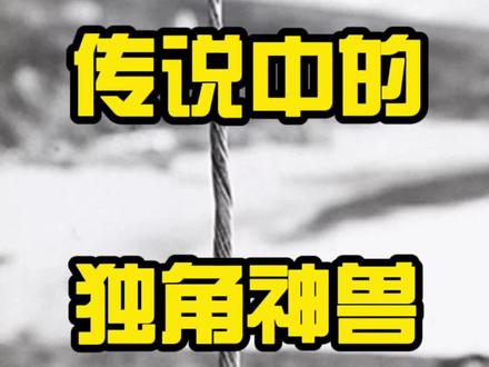 科普视频,切勿跟风购买!#文玩