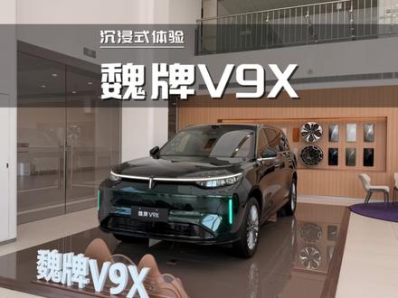 沉浸式体验:2026款魏牌V9X 2.0T豪华加长版#魏牌V9X #高航试车