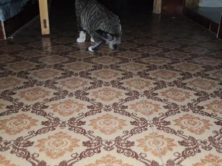 实战证明冬天野钓鱼口最好的时候是早上七点到九点错过了等于瞎钓