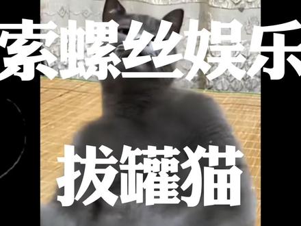 一个被全网封禁的神秘视频……#搞笑#娱乐 #剧情虚构纯属娱乐 #拔罐猫#大只切