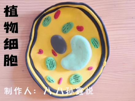 孩子们用太空泥做植物细胞模型,有立体感,形象逼真。#手工制作 #原创手作 #动手能力 #手工diy