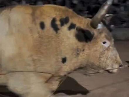 连续三个冠军 布拖县22.8000 嵩明县牛谷80000 禄劝茶花箐300000……