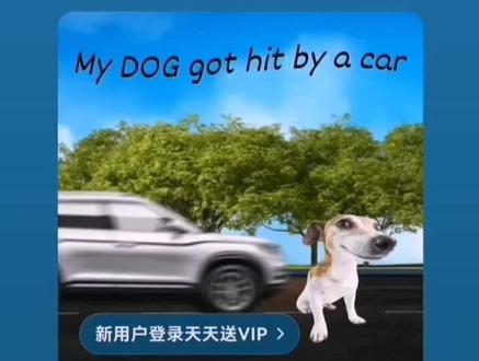 《我的小狗被车撞了》#先定一个小目标