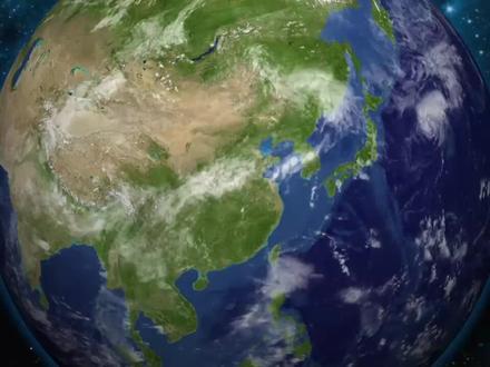 什么是生态系统?什么是食物链和食物网?为什么保护环境很重要?小谭老师的生物课 #生物知识 #科学 #生态系统