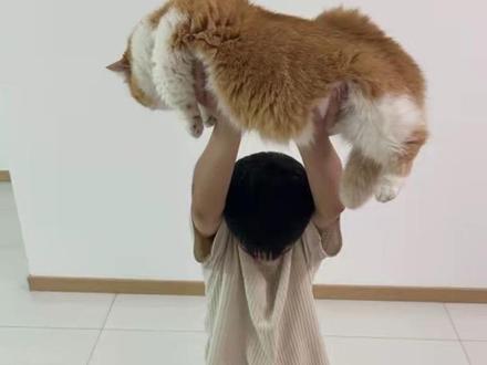 给跳蜥蜴舞的小老婆做出道歉 这届网友早晚引发世界第三次大战,恶搞老婆被这么多人看到了...兄弟们,我还活着!不过这条抖音我已经屏蔽我老婆了,她看不到哈哈哈 #人间观察计划 #蜥蜴舞 #杀杀杀 #女朋友 #反转剧情