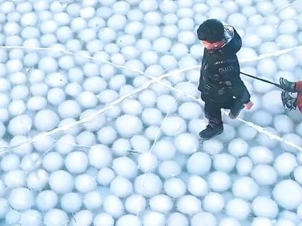 原来冰竟然有这么多形态,你见过几种?#科普 #冰 #冰块 #奇观