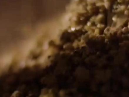 有的人喝了一辈子的酒,
却分不清楚什么是酱香酒、什么是茅香酒。
以为酱香酒就一定是茅香酒,别急看完这个视频,让你知道酱香和茅香的区别😁。#酒知识 #酒文化 #知识分享 #传统工艺酿酒 #纯粮酿造