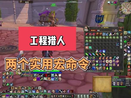 工程猎人两个实用宏 #巫妖王之怒 #猎人 #宏