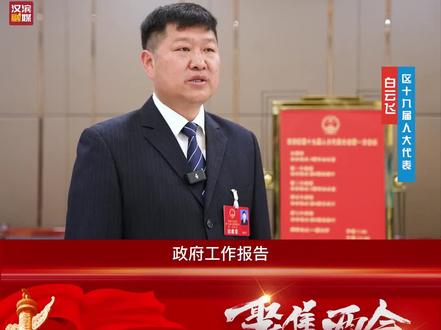 代表话发展丨打造乡村振兴示范样板 #汉滨区 #两会