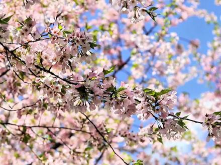 期待一下吧#桂瑞奇文#同人文#原创小说