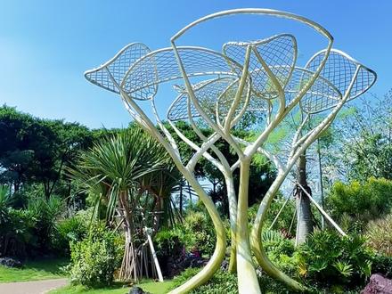 如何开具红字发票,新手会计不小心开错票了,手把手教你开具红字发票
#新手会计#会计实操#会计小白#会计分录#开具发票