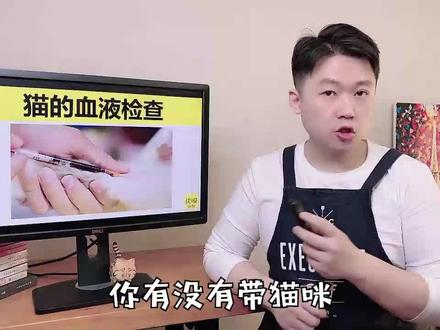 猫咪血液检查(1)血常规
