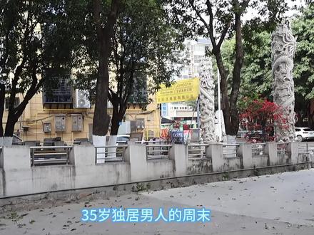 35岁独居男人的周末,跑来厦门鹭岛流浪做义工#流浪猫救助 #领养代替买卖 #被猫咪治愈的瞬间 #人生重启计划 #义工