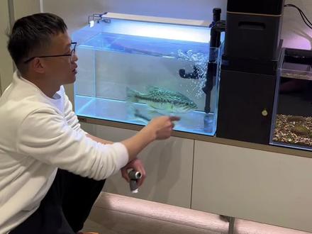 周转箱下水水流噪音大气泡多的其中一种解决办法#养鱼日记 #周转箱过滤