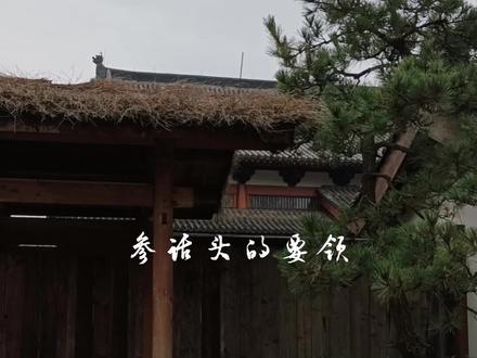 参话头的要领
