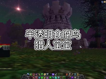 半透明嚼骨者食腐鸟猎人宝宝,三系均可抓#魔兽世界 #游戏 #游戏日常 #网络游戏