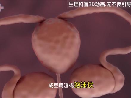 为什么会有分泌物 #女性健康 #人体奥秘 #科普一下