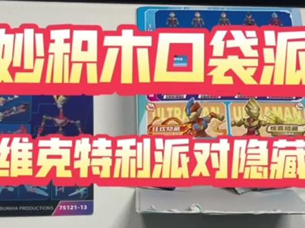 维克特利派对隐藏#奇妙积木口袋派对
