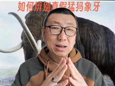 如何辨别假猛犸象牙! #猛犸象牙鉴定 #文玩珠宝鉴定 #文玩珠宝知识分享