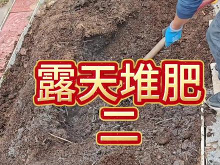 #堆肥 #高温堆肥 露天堆二,物料状态相当哇塞