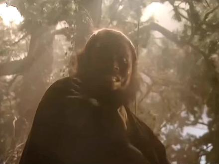 #老虎处刑曲 我的家乡在日喀则……