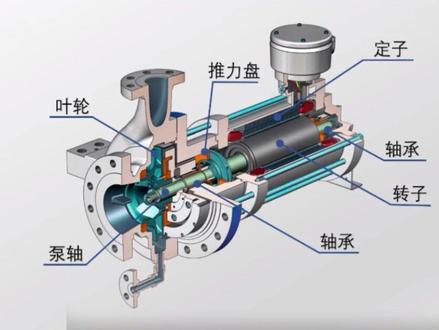 屏蔽泵的结构和工作原理#屏蔽泵 #屏蔽泵工作原理