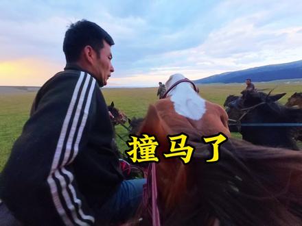 差点出马祸了~太刺激太爽啦#骑马 #赛里木湖
