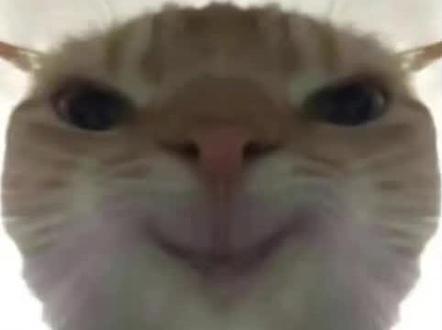 固态&内存大崩盘!2026年全面降价,原因全是现如今的行业现实!#内存条 #固态硬盘 #内存条市场崩盘