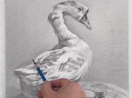 建议收藏!高一高二美术生一定要了解的艺考流程!#美术生 #美术生集训 #美术生联考 #素描静物