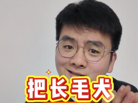把长毛犬剃成短毛养 ???不剃行不行吗#金毛 #萌宠出道计划 #剃毛后的狗 #长毛犬护理