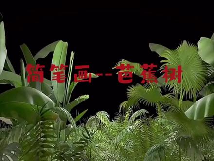 简笔画--芭蕉树/零基础学画画/春回大地万物复苏/快乐的画画时光 #简笔画 #简简单单平平淡淡就好 #春暖中国 #花卉绿植