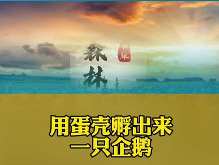 #创意简笔画 #简笔画 #简笔画教程 #一起学画画 #创意 #儿童简笔画 #创意美术 #可爱简笔画 #企鹅@DOU+小助手