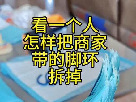 看一个人怎样把商家的脚环拆掉#拆脚环 #手养鹦鹉 #蓝和尚 #亲人手养鹦鹉